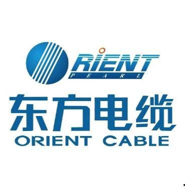 东方电缆最新爆料,揭秘行业新动态与技术创新