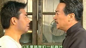 出生入死在线观看,在线观看出生入死的惊险之旅  第3张