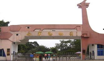 南宁动物园爆料案件最新,惊现动物逃脱事件，真相揭秘！